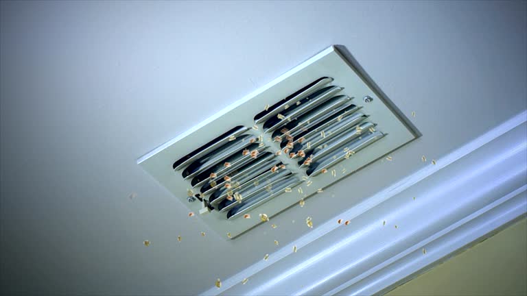 Air Duct Mold Removal in Sugar Creek, MO